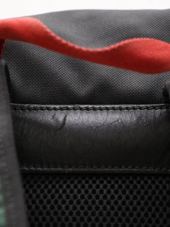 GUCCI Tiger Head 429037 Embroidery Nylon Backpack - Black main image 14
